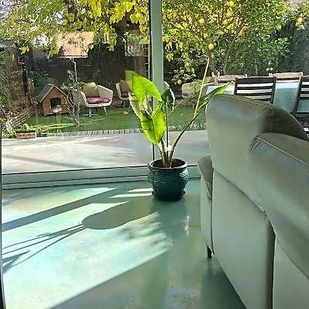 Lemon Tree * Alella