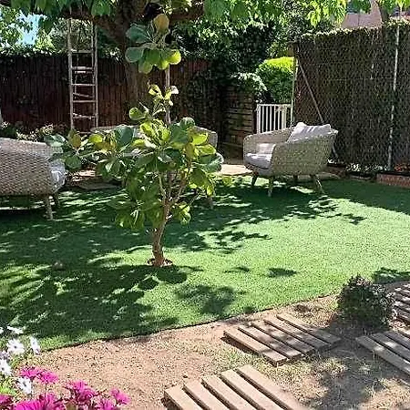 Lemon Tree 4*